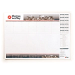 A3 Note Pad (50 leaves per pad)
