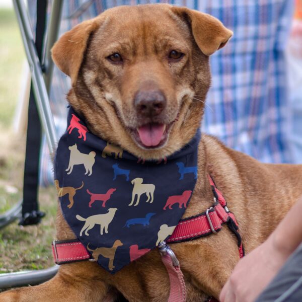 Pet Bandana - Medium - Image 2