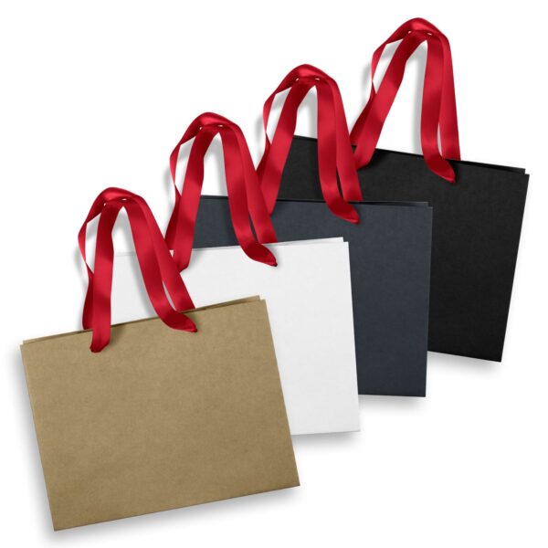 Medium Ribbon Handle Paper Bag - Image 2