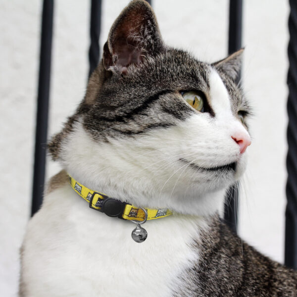 Amigo Cat Collar - Image 6