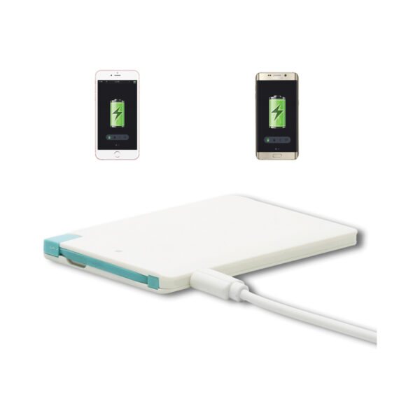 Fullsome Power Bank - Image 2