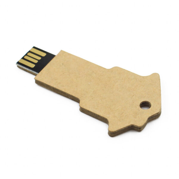 Lucas Eco Key Flash Drive - Image 2