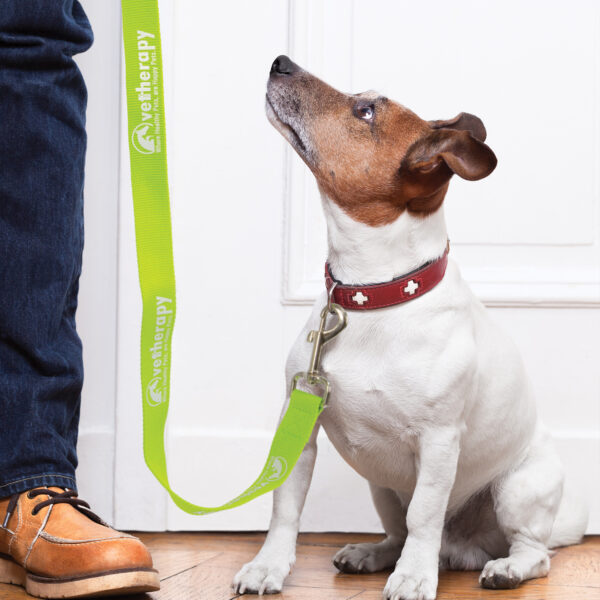 Trek Dog Leash - Image 14