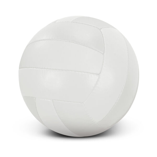 Volleyball Pro - Image 2