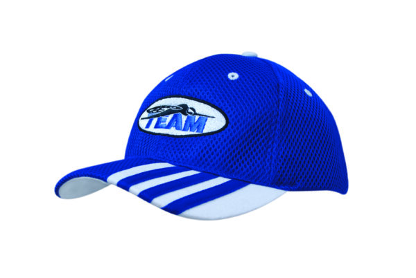Sandwich Mesh Cap with Striping on Peak