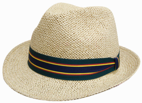 Fedora Style String Straw Hat