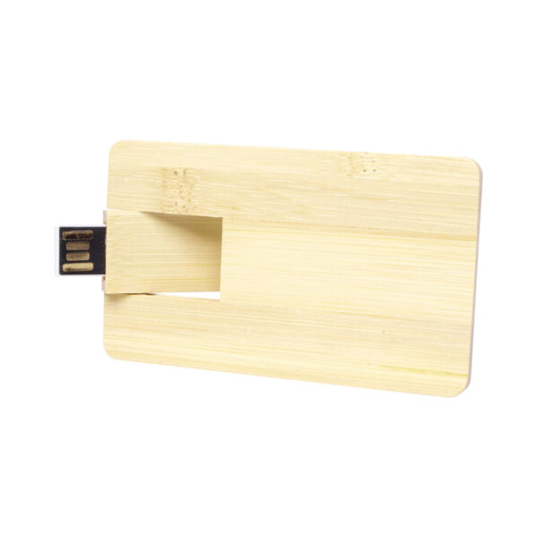 Bamboo Credit Card Drive - Image 2