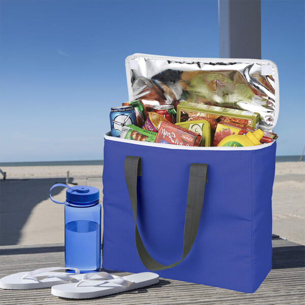 Arctic Zone® 30-Can Foldable Freezer Tote 18L - Image 10