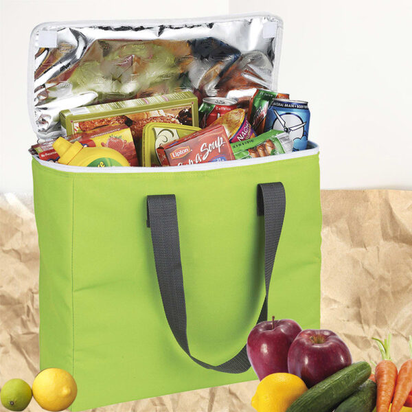 Arctic Zone® 30-Can Foldable Freezer Tote 18L - Image 9