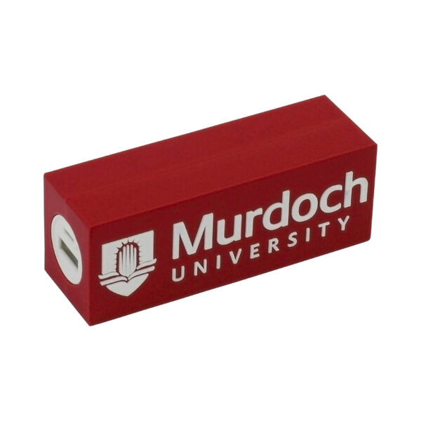 Custom Power Bank - Image 10