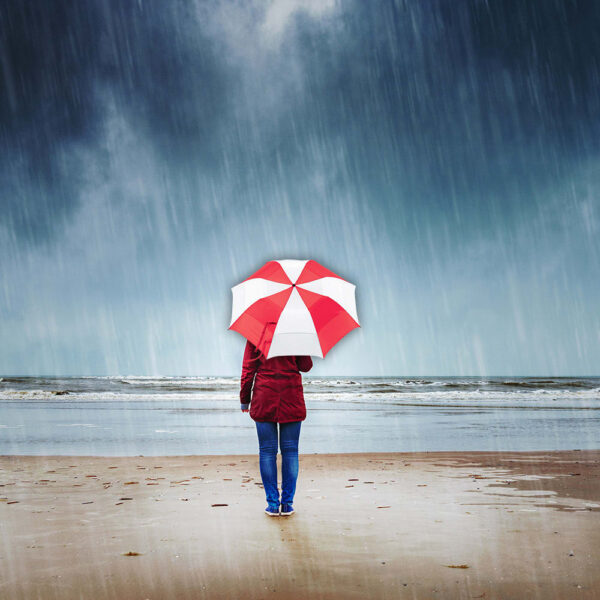 Vented Folding Umbrella - Image 8
