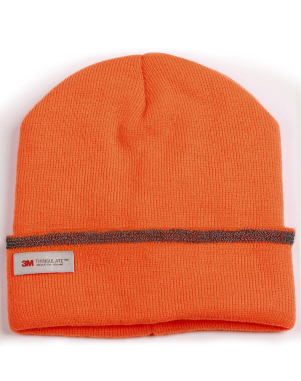 Thinsulated Cuff Beanie - Image 4
