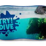 Auto Sunshade - Full Colour INDENT