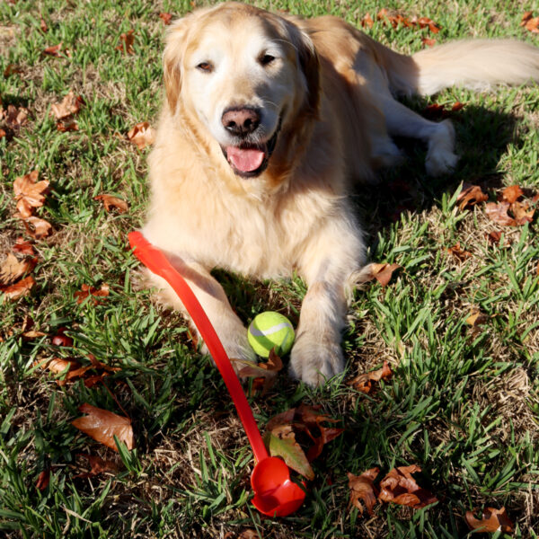 Zoomie Ball Launcher - Image 4