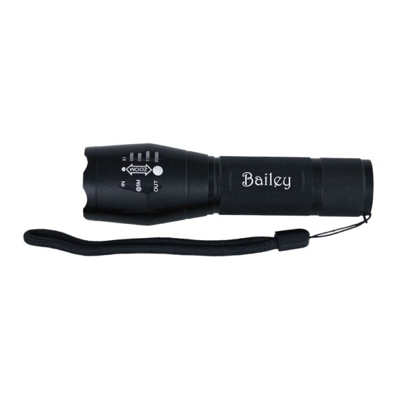 Trekk 300 Lumens Torch - Image 7