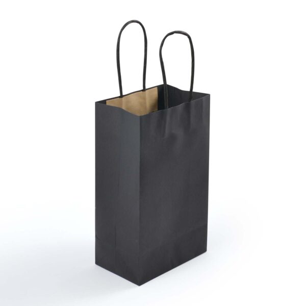 Express Paper Bag Small - Image 2