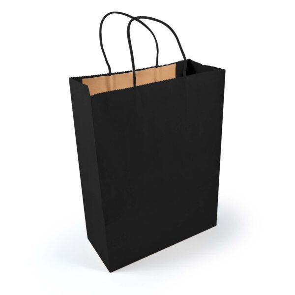 Express Paper Bag Large - Image 2