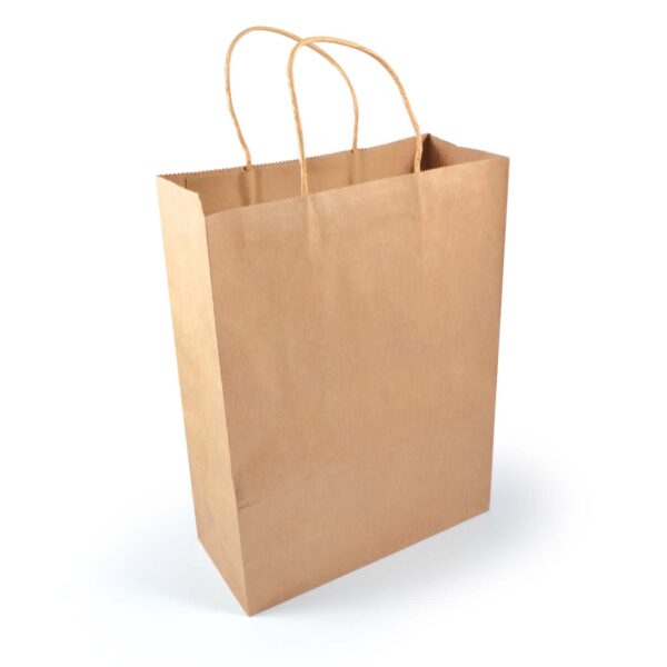 Express Paper Bag Large - Image 3