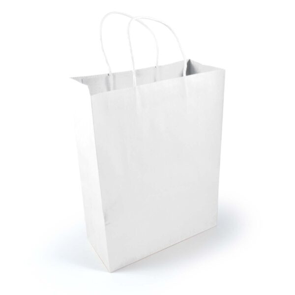 Express Paper Bag Large - Image 4