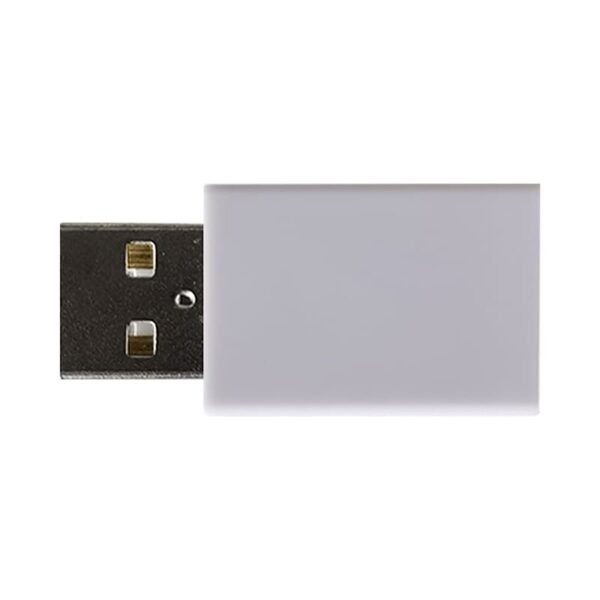 Lome Data Blocker (Type-A to Type-C) - Image 6