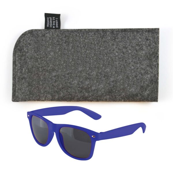 Lux Sunglasses Pack - Image 10