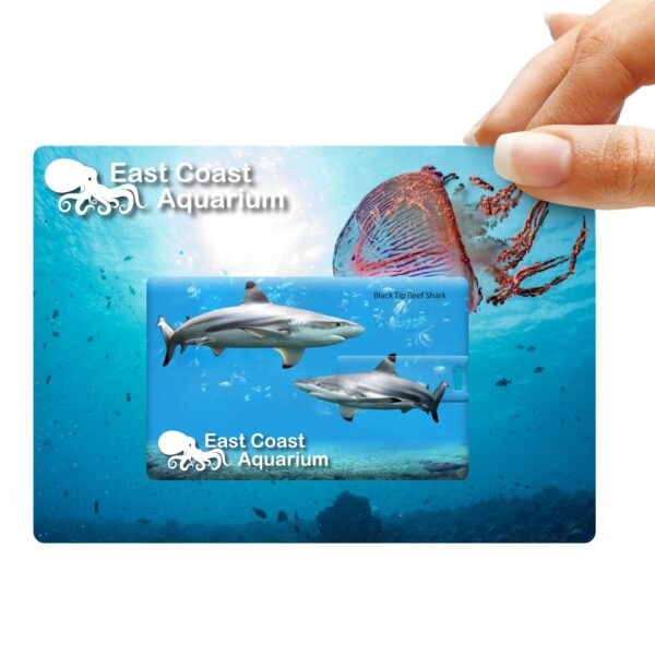 Credit Card Flash Drive - Image 3